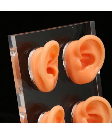Ear Display Mold Human Ear Model Real Skin Feeling Reusable Waterproof Soft For Store Showcase For Doctor Otolaryngologists For Ear Dispensers - Buy Online on GoSupps.com
