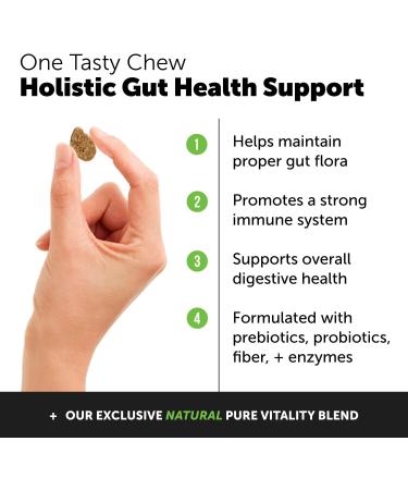 Pet Honesty Digestive Probiotic Soft Chews for Dogs Natural Digestive Support Immunity Health Seasonal Allergies Occasional Diarrhea & Constipation Due to Normal Environmental Issues (Duck) DOG Digestive Support (DUCK) - Buy Online on GoSupps.com