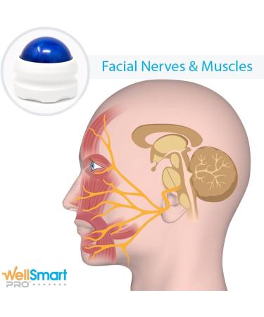 Bells Palsy Massager Set: Natural Treatment for Facial Paralysis, Relieves Inflammation & Stiffness in Face, Eyes, Jaw & Mouth - Stimulates Muscles & Nerves (Set of 2) - Buy Online on GoSupps.com