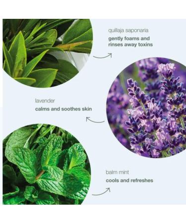 AquaBio Face Lifting Cream with Powerful Peptides and Vegan Collagen for Firming and Natural Glow - Eco-Friendly Cruelty-Free Skin Care with Hydrating Botanicals. Made in Spain. - Buy Online on GoSupps.com