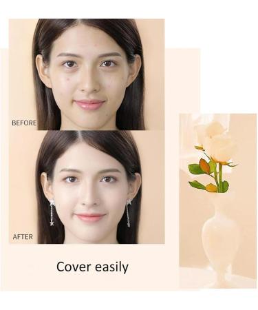 2 in 1 Anti-Wrinkle Foundation Matte Liquid Concealer Long Lasting Waterproof Coverage Makeup Anti-Crease and Lightweight Face Contour Corrector - Buy Online on GoSupps.com