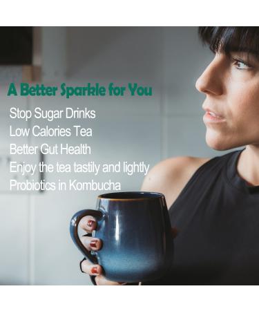 LITE SUPPLY Kombucha Tea Powder Sticks - Lemon Ginger Probiotic Drink - Natural Blend with Vitamins C & B - 14 Portable Freeze-Dried Servings - Buy Online on GoSupps.com