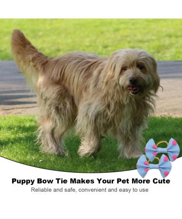 Fezf 20-Piece Dog Hair Accessories Set - Rubber Band Loops & Arches for Long-Haired Pets - Random Colors - Buy Online on GoSupps.com