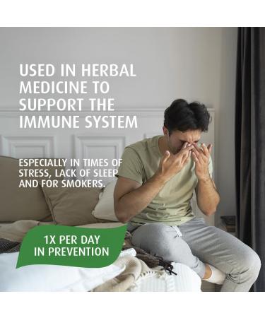 A.Vogel Echinaforce Extra Strength Echinacea Tablets - Immune Support for Cold & Flu Relief - 1200mg Organic Echinacea Chewable Gluten-Free Sugar-Free Safe for Pregnant & Breastfeeding Women 120 Tablets 120 count (Pack of 1) - Buy Online on GoSupps.com