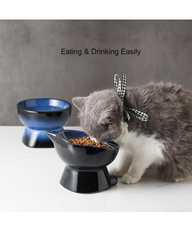 Ceramic Elevated Cat/Dog Bowls Set - Blue & Black, 4.5oz + 8oz - Protects Pet's Spine - Feeding & Watering Supplies - Buy Online on GoSupps.com