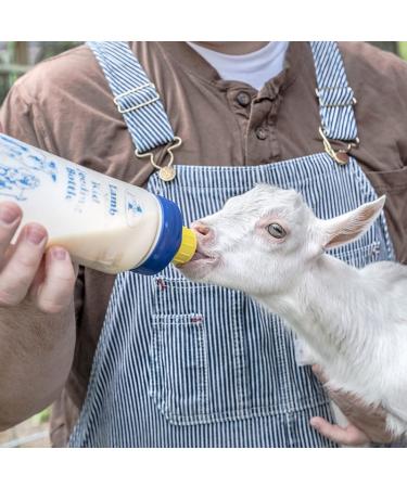 Premier Lamb 'N' Goat Kid Feeding Bottle - Bottle Only - Buy Online on GoSupps.com