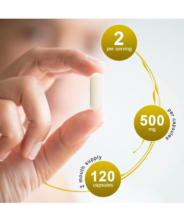 Organic Alliwise Berberine Supplement - 1000mg with Cinnamon, Milk Thistle & Turmeric Extract - Gastrointestinal & Cardiovascular Support - Buy Online on GoSupps.com