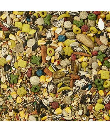 Kaytee Fiesta Mouse & Rat Food - 2 lb Bag | Nutritious & Delicious - Buy Online on GoSupps.com