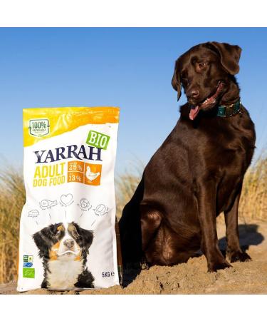 Pienso Para Perros Adultos Con Pollo Bio 2kg Yarrah - Buy Online on GoSupps.com