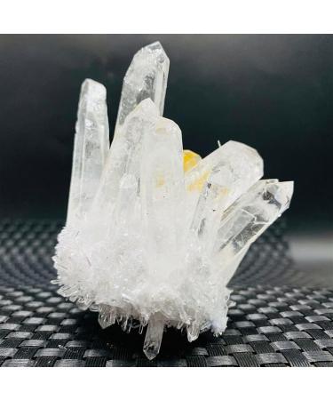Natural Clear Ghost Phantom Quartz Crystal Cluster Rock Stones and Crystals Reiki Specimen Home Decor Suitable for Home HOMEZHOU (Color : 300-350g) - Buy Online on GoSupps.com