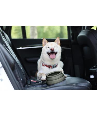 Buy Ohmo Foldable Water Bowl for Dogs - No Spill Travel Bowl (680ml Camouflage Green) - Portable & Mess-Free Feeding Accessories for Car Trips - Buy Online on GoSupps.com