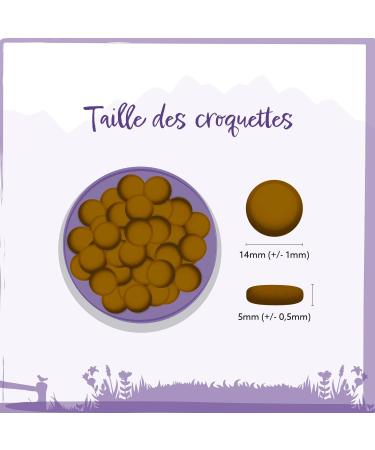 Wild Animal Premium Dry Dog Food Duck with Sweet Potato and Orange Grain Free Pack of 1 (1 x 2 kg) - Buy Online on GoSupps.com