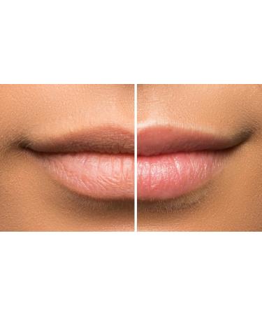 Sara Happ The Lip Scrub - Best Exfoliating Lip Treatment & Moisturizer for Dry Flaky Lips | Coconut Flavor - International Shipping Available - Buy Online on GoSupps.com