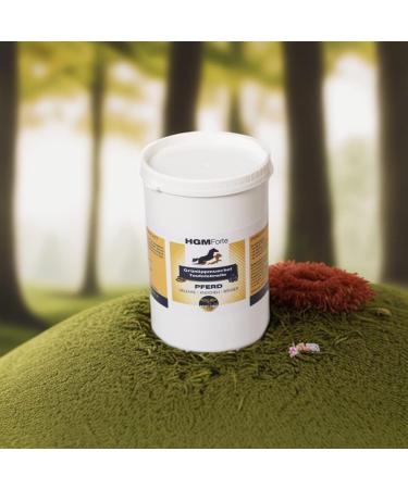 Joint Booster for Older Horses - Devil's Claw & Green Lip Mussel Mix | 900g | Natural Alternative | Recommended by Dr. Med. Vet. Knoop - Buy Online on GoSupps.com