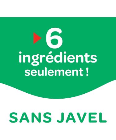 La Croix - Multi-Surface Household Cleaner - Lemon Scent - Bleach Free - Disinfects and Cleans - 1 L Bottle - Buy Online on GoSupps.com