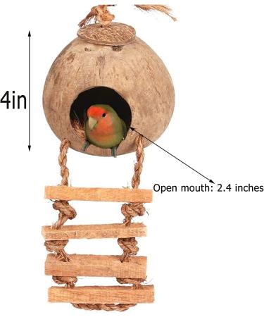 Tfwadmx Coconut Hide with Ladder - Natural Fiber Hanging Birdhouse Cage for Parrot, Parakeet, Lovebird, Finch, Canary - 2 Pcs - Buy Online on GoSupps.com