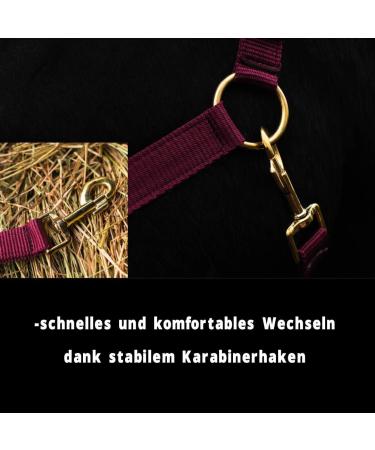 Horse Halter for Warmbloods Thoroughbreds & Cold Bloods | Adjustable Tearproof Stable & Pasture Halter - Bordeaux Shetland Pony (Shetty) - Buy Online on GoSupps.com