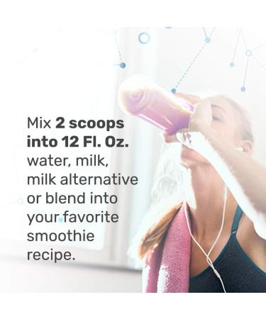 MacroLife Naturals MacroMeal Vegan Chocolate Protein Powder Superfood Greens Probiotics + Fiber Immune Energy Digestive Daily Essentials for Women & Men Gluten-Free - 23.8oz (15 Servings) Chocolate Chocolate 1.49 Pound (Pa  - Buy Online on GoSupps.com