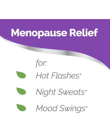 Estroven Stress Mood & Memory for Menopause Relief 30 Caplets Night Sweats and Hot Flash Relief for Women Ginkgo Biloba Extract for Cognitive Function and Memory Magnolia Bark for Irritability - Buy Online on GoSupps.com