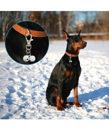 30 Pack Pet Cat Collar Bells - Strong and Loud Dog Training Bells - Colourful Charm Bells for Collars - Necklace Pendant in Candy Colors - Buy Online on GoSupps.com