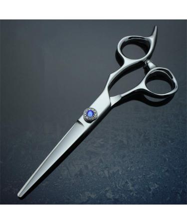 Hairdressing Scissors Hair Scissors Cutting Scissor Stainless Steel for Barber Stylist (6in/17CM)
