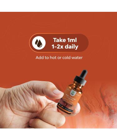 Collagen Biotin Drops for Hair Growth | Liquid Formula with 10000mcg Biotin & Marine Collagen | Fast Thick Regrowth for Men and Women - Buy Online on GoSupps.com