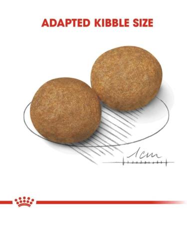 Royal Canin Dry Dog Food Medium Adult Natural Defences 10 kg - Buy Online on GoSupps.com