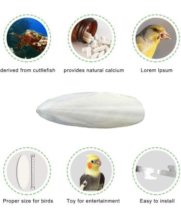 Mivofun Cuttlebone with Holder for Birds - 4-5 Inch Natural Cuttlefish Bone - Pack of 2 | Ideal for Parakeets, Canaries, Cockatiels, Parrots, Snails, Turtles & More - Buy Online on GoSupps.com