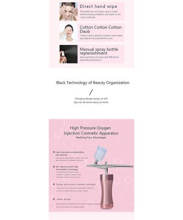 Oxygen Injection Device High-Pressure Oxygen-Assisted Nano-Spray Water Replenishment Household Spray Gun Handheld Type Water Oxygen Meter Beauty Salon Portable Gifts for Women - Buy Online on GoSupps.com