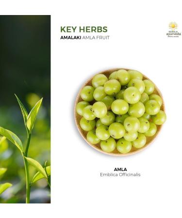 Kerala Ayurveda Amalaki Capsules - 60 Tablets | Antioxidant Supplement for Digestive & Skin Health | Immunity Booster | Gluten Free Dietary Supplement - Buy Online on GoSupps.com