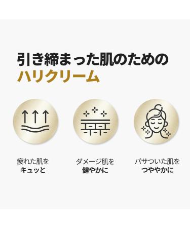 Buy HOLIKA HOLIKA Prime Youth Black Snail Repair Emulsion 100ml - Anti-Aging Lotion for Glowing Skin | International Shipping Available - Buy Online on GoSupps.com