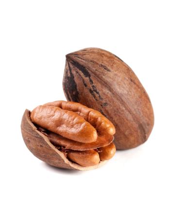 1001 Fruit Pecan Nuts 500g - Natural Untreated California Pecans | Raw Food Quality Additive-Free Non-GMO - Buy Online on GoSupps.com