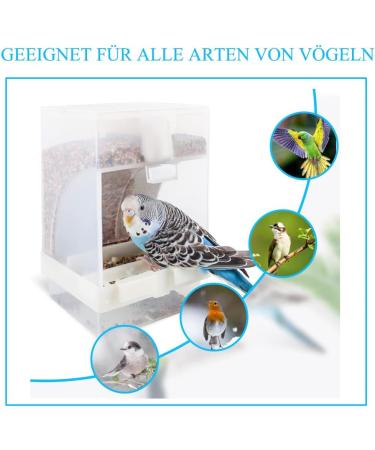 Buy Gediz Transparent Feed Donor: Premium Food Container for Budgies Nymphensittiche and Finches - International Shipping Available - Buy Online on GoSupps.com