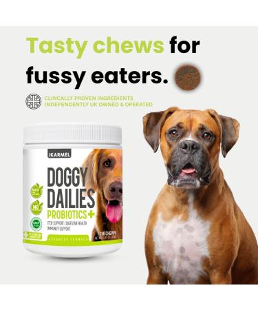 Doggy Dailies Probiotics for Dogs - Canine Supplements for Digestive and Immunity Support - Skin Health and Itch Support - Vitamin Treats - Veterinarian Formulated Probiotic 180 Count (Pack of 1) - Buy Online on GoSupps.com