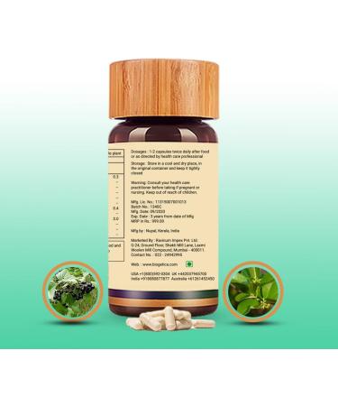 Biogetica Hemosolve Herbal Daily Iron Supplement with Kassisa Mineral and Sarsaparilla Root - Non-GMO - 100% Vegan Ayurveda Supplement - 80 Capsules - Buy Online on GoSupps.com