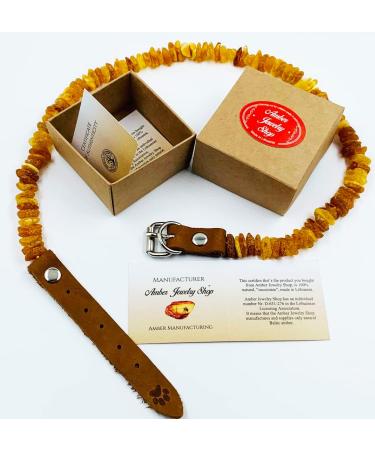 Amber Jewelry Shop Amber Necklace for Dogs Amber Collar for Dogs Natural Baltic Amber Beads 35-40 - Buy Online on GoSupps.com