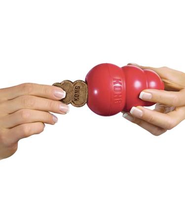 KONG - Snacks - All Natural Dog Treats (Best used Rubber Toys) - Bacon and Cheese Biscuits - For Large Dogs Bacon and Cheese 312 g (Pack of 1) - Buy Online on GoSupps.com