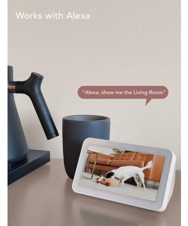 Nooie 1080P 360-degree Baby WiFi Monitor with 32G SD, Motion Tracking, Night Vision, 2 Way Audio - Works with Alexa - SD Card and Cloud Storage Included - Buy Online on GoSupps.com