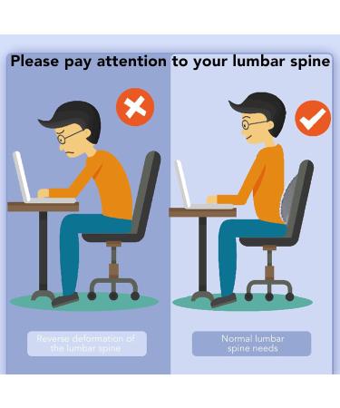 Fyearfly Neck and Back Extensor - Portable Pain Relief Acupunktunk Stimulation for Lower Back and Neck Support - Blue - Buy Online on GoSupps.com