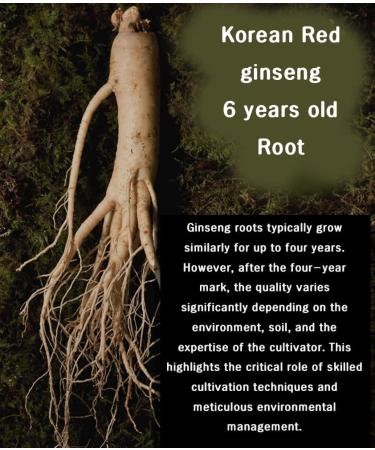 Benepisyo Korean Red Ginseng Extract One Day one Stick 10ml x 30 Pouch Healthy Beverage Drink Portable Convenient  - Buy Online on GoSupps.com