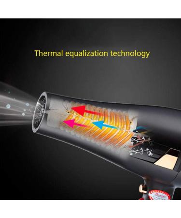 Professional Hair Dryer 2200W AC Motor Negative Ionic Technology Blow Dryer with 3 Heat & 2 Speed Setting and Cool Shot Button Nozzle Included Fast Drying Salon Hairdryer for Men and Women lightblue Pink - Buy Online on GoSupps.com
