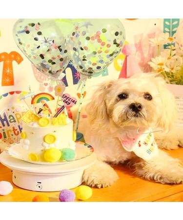 Zhouocea 2 Pcs Cat Birthday Bandana Pink Pet Puppy Birthday Bandana Scarf Party Hat Accessories Cute Birthday Hat for Dog Cat Pet Birthday Party Supplies (Pink) - Buy Online on GoSupps.com