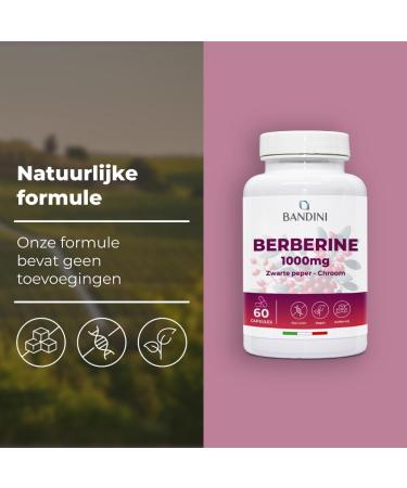 Bandini Berberine 1000mg pure high dosage Pure Berberin HCl from Berberis Aristata 97 + Chromium and Black Pepper Maximum withdrawal Digestion liver intestinal function 60 vegan capsules - Buy Online on GoSupps.com