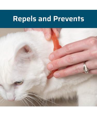 Wondercide Flea and Tick Cat Collar - Natural Essential Oils Repellent - 4 Months Protection - Buy Online on GoSupps.com