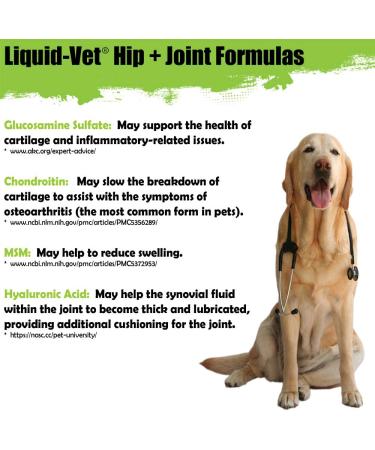 Liquid-Vet Advanced Hip & Joint Supplements for Cats | Glucosamine + Chondroitin + MSM + Hyaluronic Acid | 8 Chicken - Buy Online on GoSupps.com