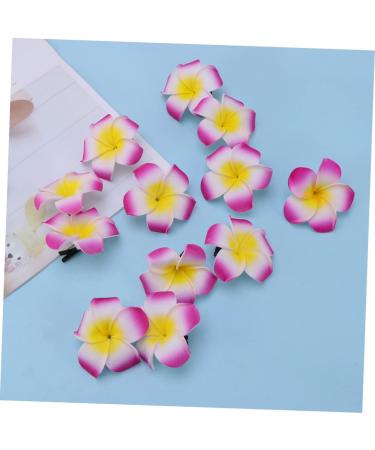DOITOOL Girl Bows for Hair Hawaiian Barrettes Foam Hair Clips Girl Hair Clips Flower Hairpin Hair Accessory for Girls Floral Hair Accessories Hair Clips for Girls Summer Headgear - Buy Online on GoSupps.com