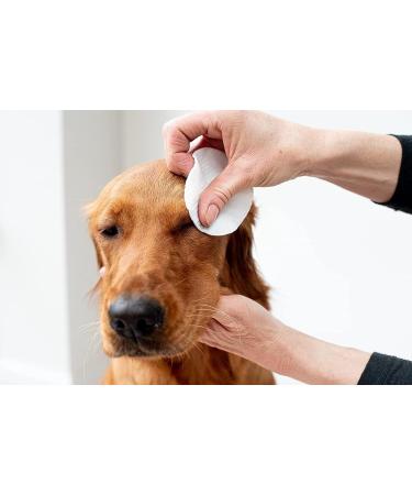PET WIZ Eye Care Cloths for Pets | Veterinarian-Tested | Extra Large 120 Towels | Gentle & Soothing 2-Pack | 240 Total Towels - Buy Online on GoSupps.com