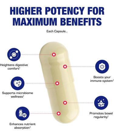 Advanced Digestive Probiotics for Women & Men - 4 in 1 Quadbiotic for Women & Men with Lactobacillus and Bifidobacterium Probiotics for Digestive Health Bloating and Constipation - 100 Servings - Buy Online on GoSupps.com