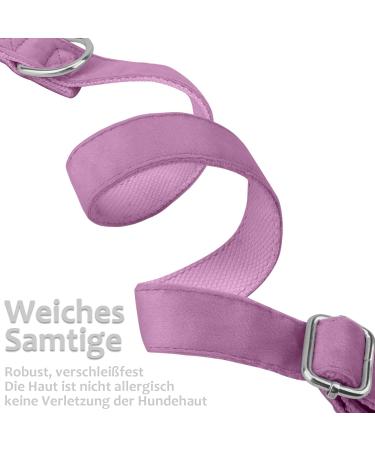 Asvin Velvety Dog Collar with Removable Fly | Soft & Comfortable Multi-Color Dog Collar for Weddings Birthdays & Parties - Shop Now! - Buy Online on GoSupps.com