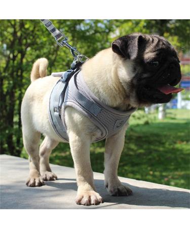 Buy Reflective Soft Padded Dog Harness & Cat Dishes for Small Dogs | Air-Mesh Leash & Pet Accessories - Perfect for Puppies & Cats (Chest: 29-33cm) - Buy Online on GoSupps.com